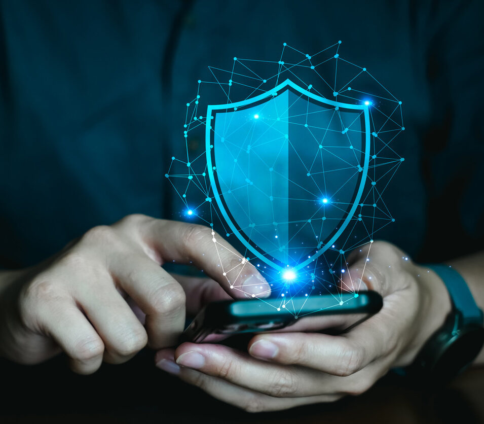 Concept of Security data and data Protection on web, Virus and identity theft protection.